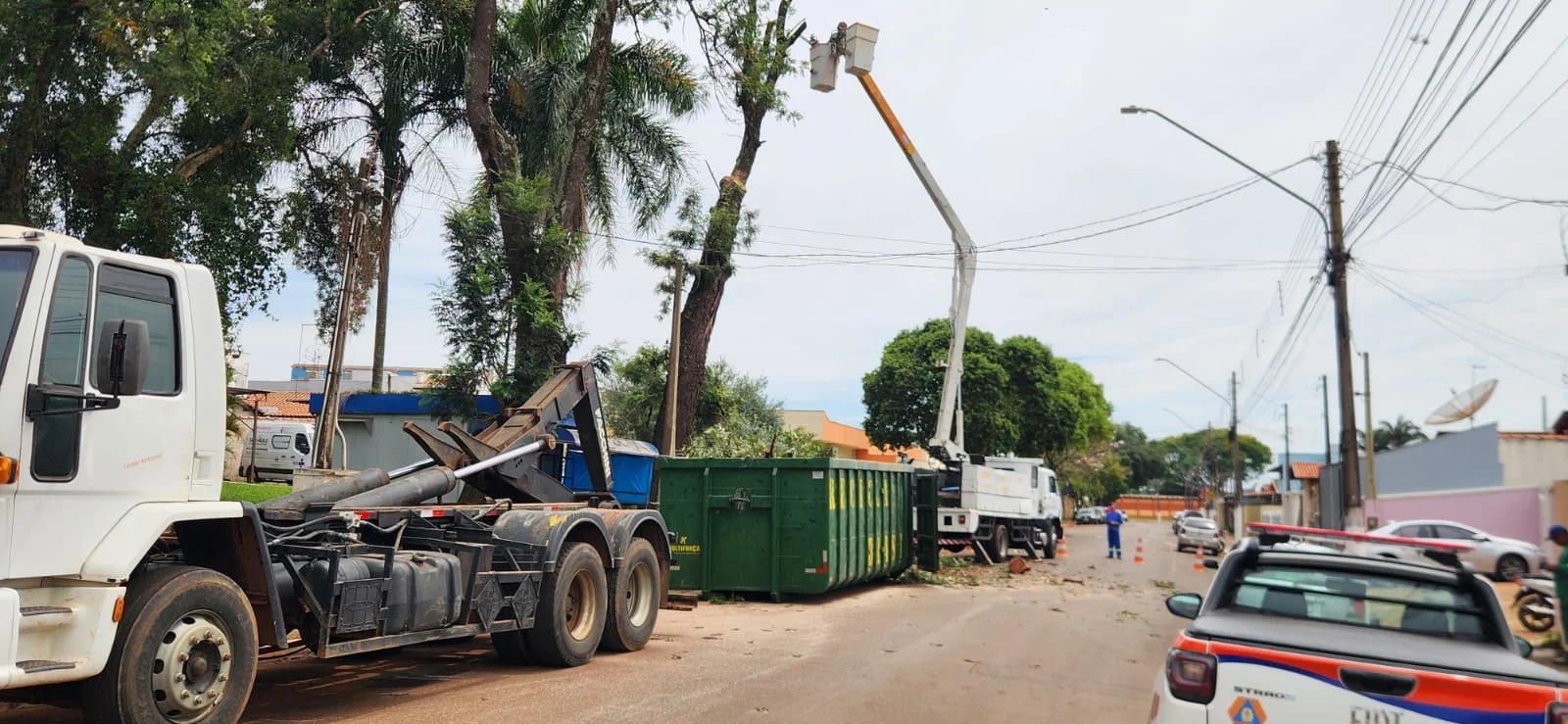 SEGURANÇA EM PRIMEIRO LUGAR: PREFEITURA RETIRA ÁRVORES COM RISCO DE QUEDA